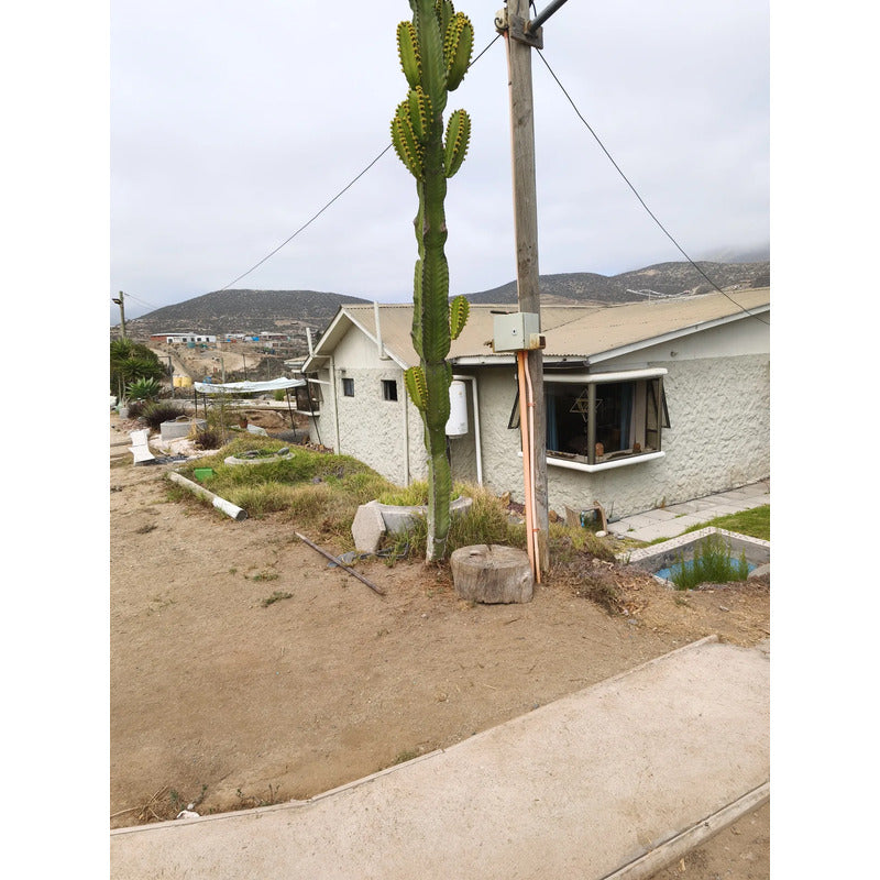 Se Vende Propiedad Con Dos Casas Valle Del Elqui