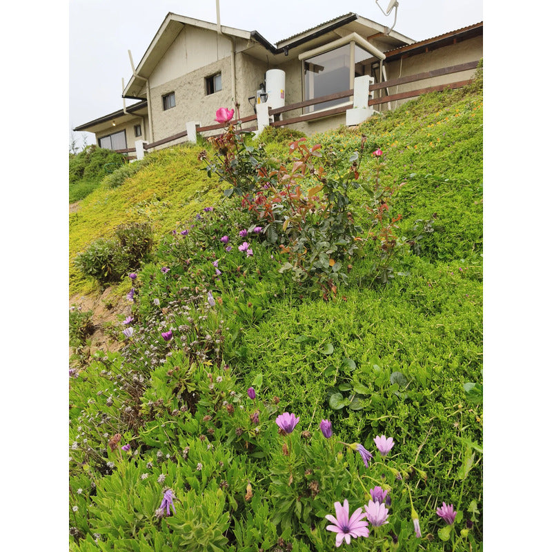 Se Vende Propiedad Con Dos Casas Valle Del Elqui