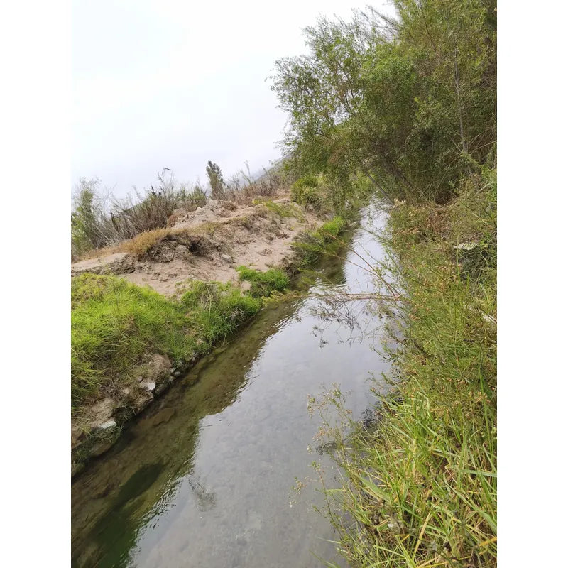 Se Vende Propiedad Con Dos Casas Valle Del Elqui